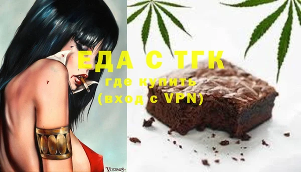 шишки Сатка