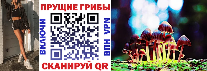 блэк спрут онион  Пионерский  Псилоцибиновые грибы MAGIC MUSHROOMS  продажа наркотиков 